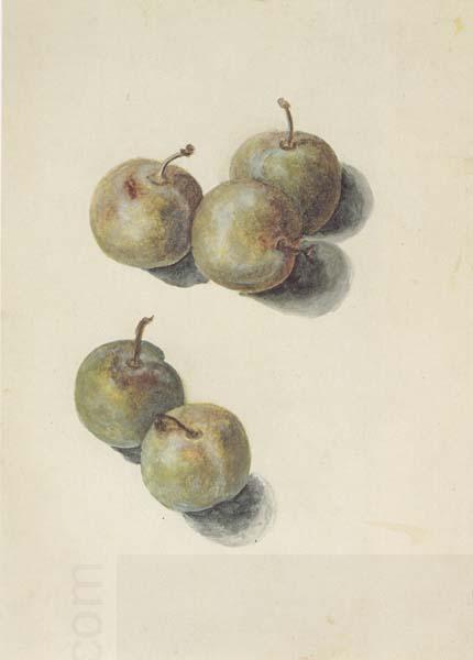Edouard Manet Etude de cinq prunes (mk40) China oil painting art